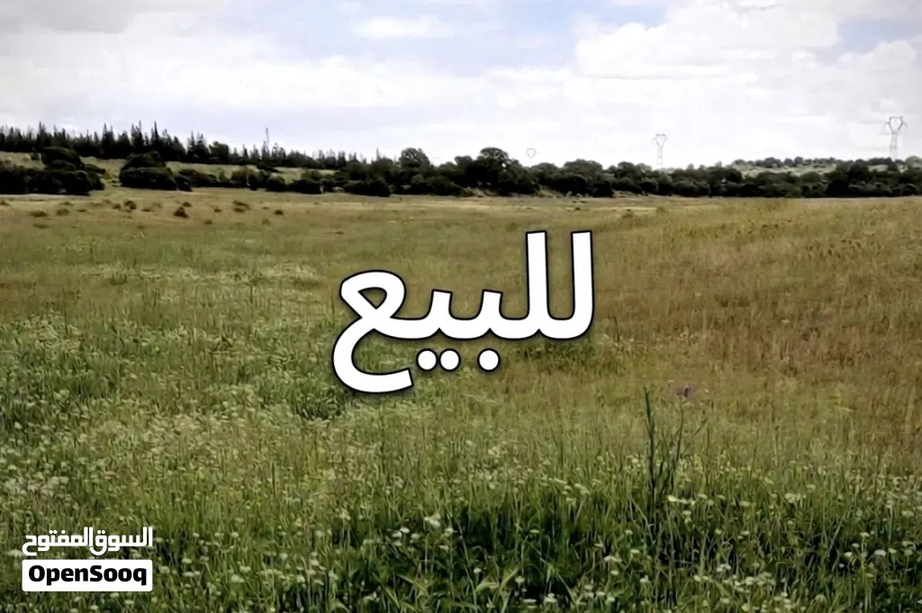 ارض للبيعع