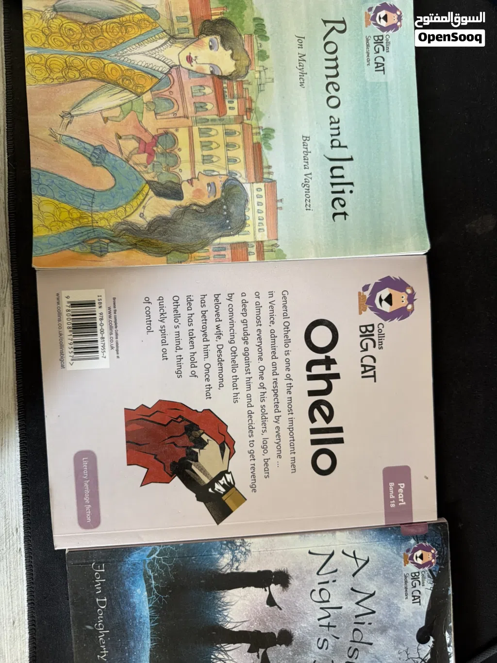 new big cat book
