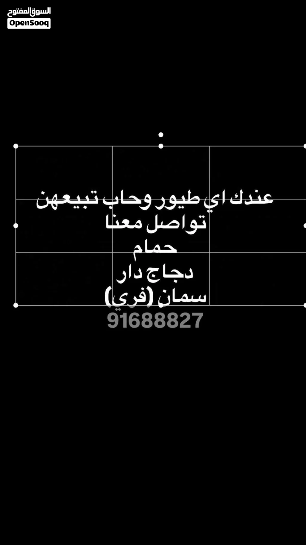 مطلوب حمام بسعر الجملة اي عدد اشتريهن