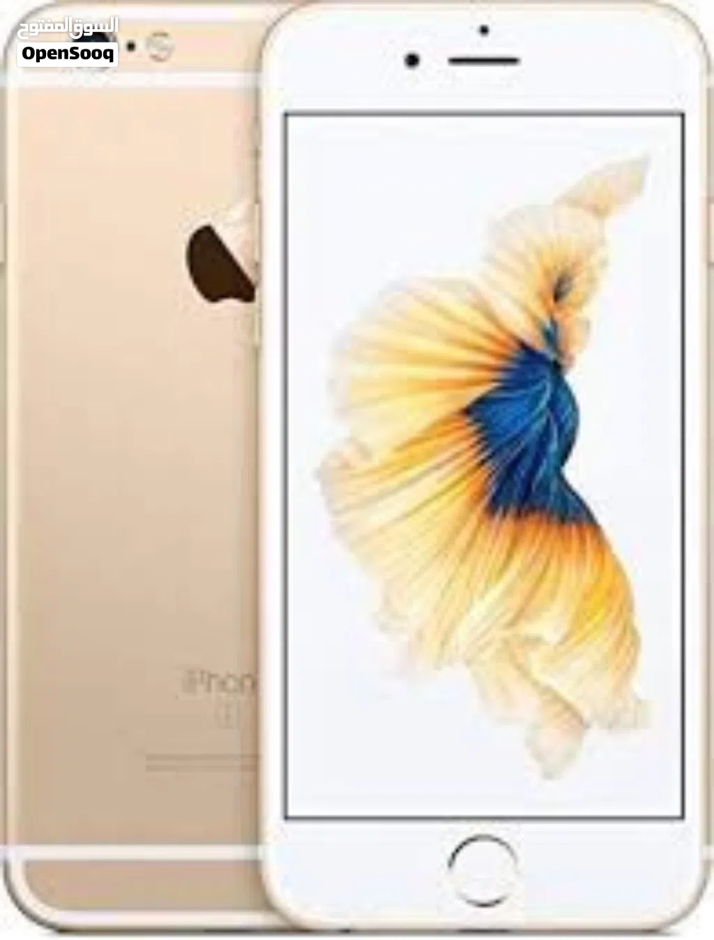 iPhone 6s Plus شغال بصمة بس فاصل الكاميرا الاماميه والخلفيه مساحة 32 الجهاز نظيف جداً