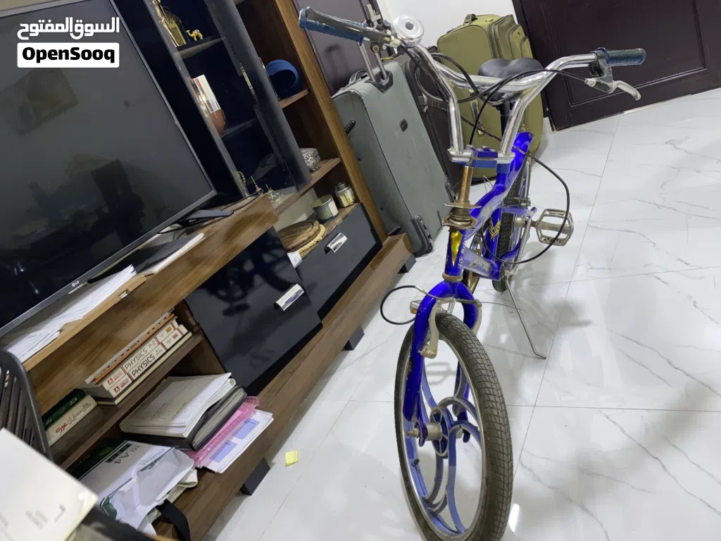 SW- Aluminium Rim Bicycle
