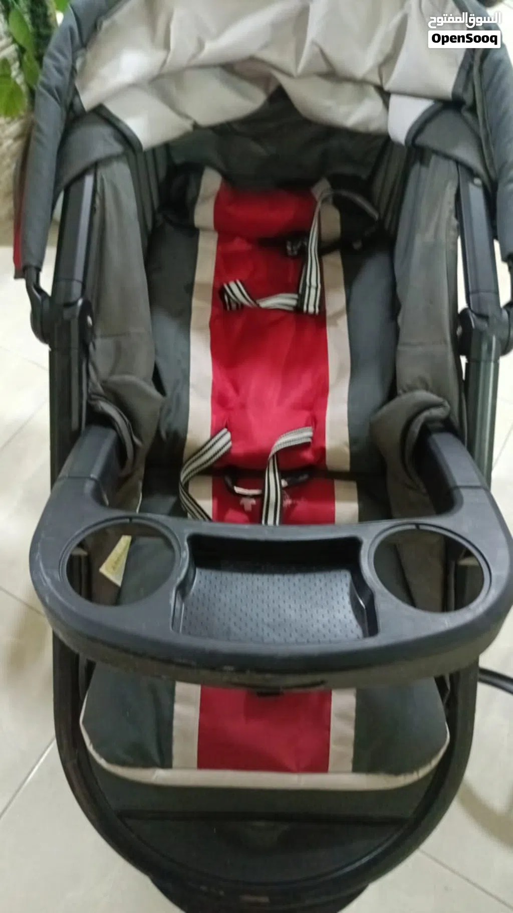 عرباي للتوم