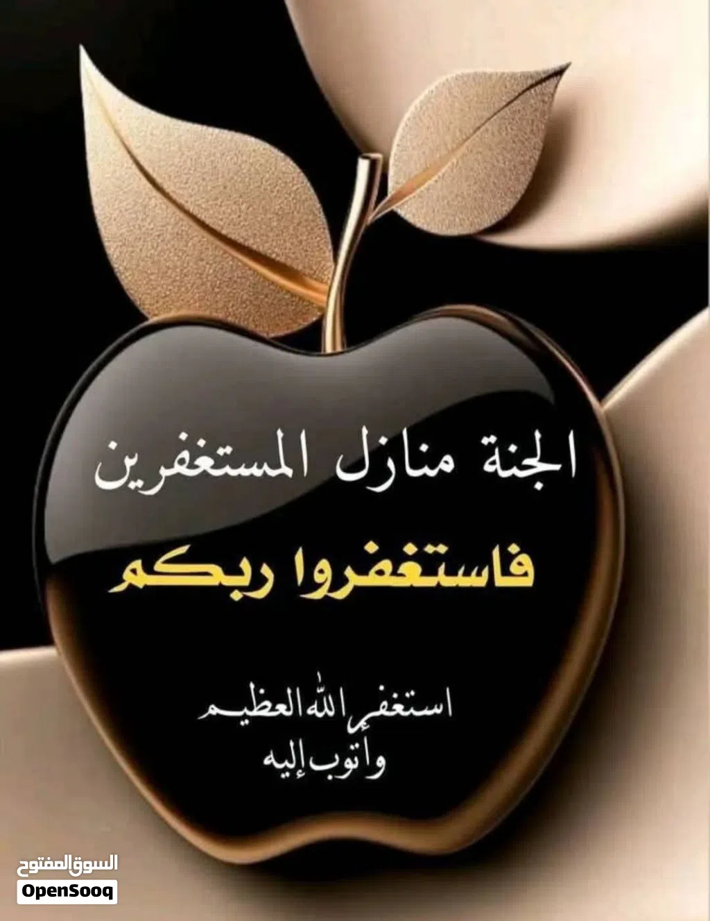استديو للايجار من 25/6 الي 10/8