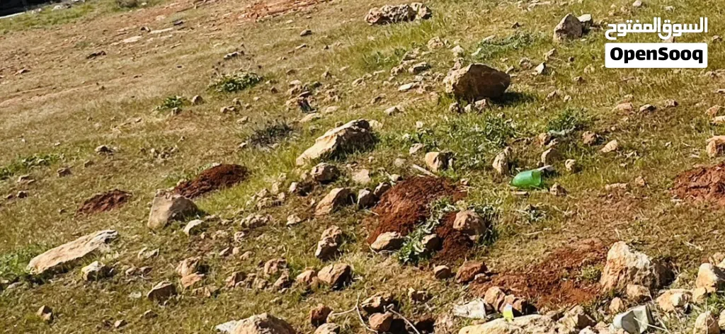 ارض للبيع عالقطران مخطط الكورة - بوهادي قبل محل عزو