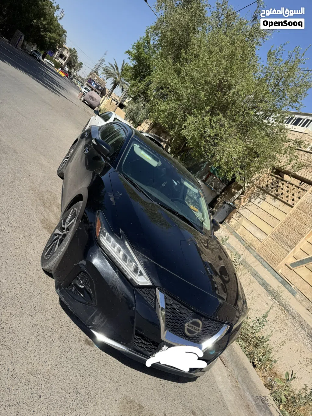 Nissan Maxima SV