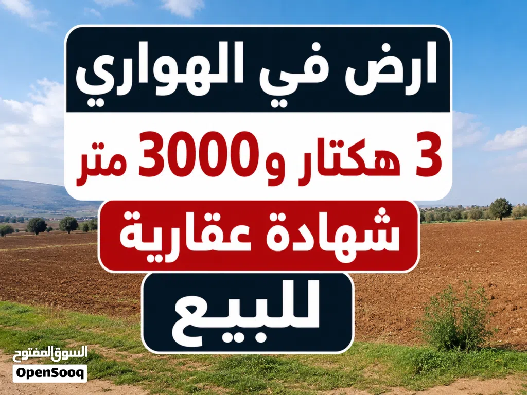اراضي للبيع الهواري-بوصنيب-سي فرج-الطلحية
