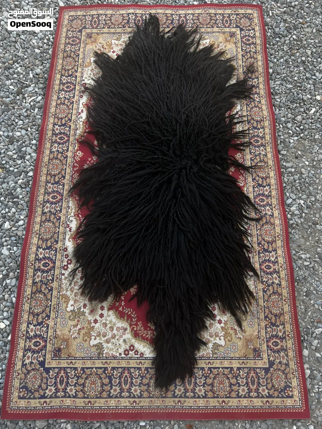 جاعد للبيع