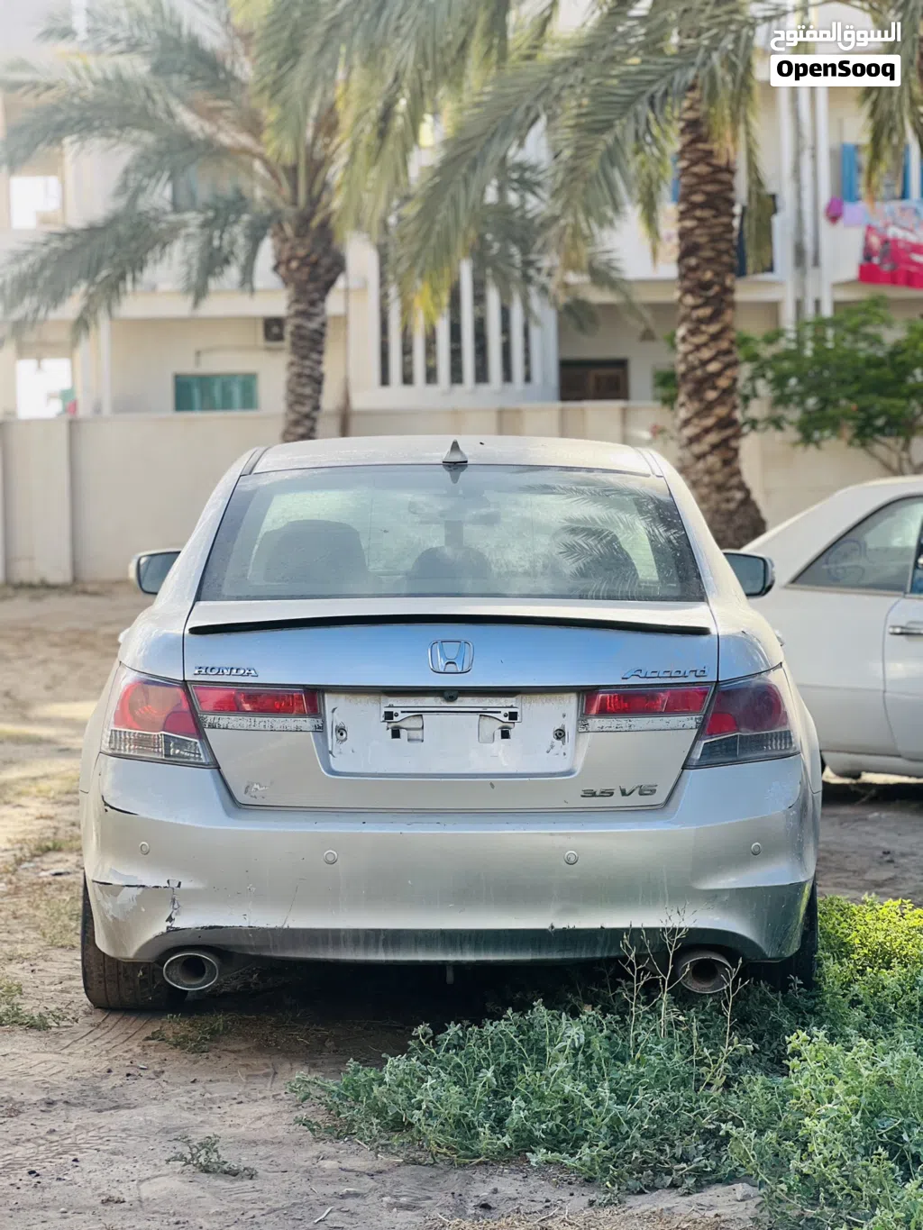 Honda Accord V6 Sport