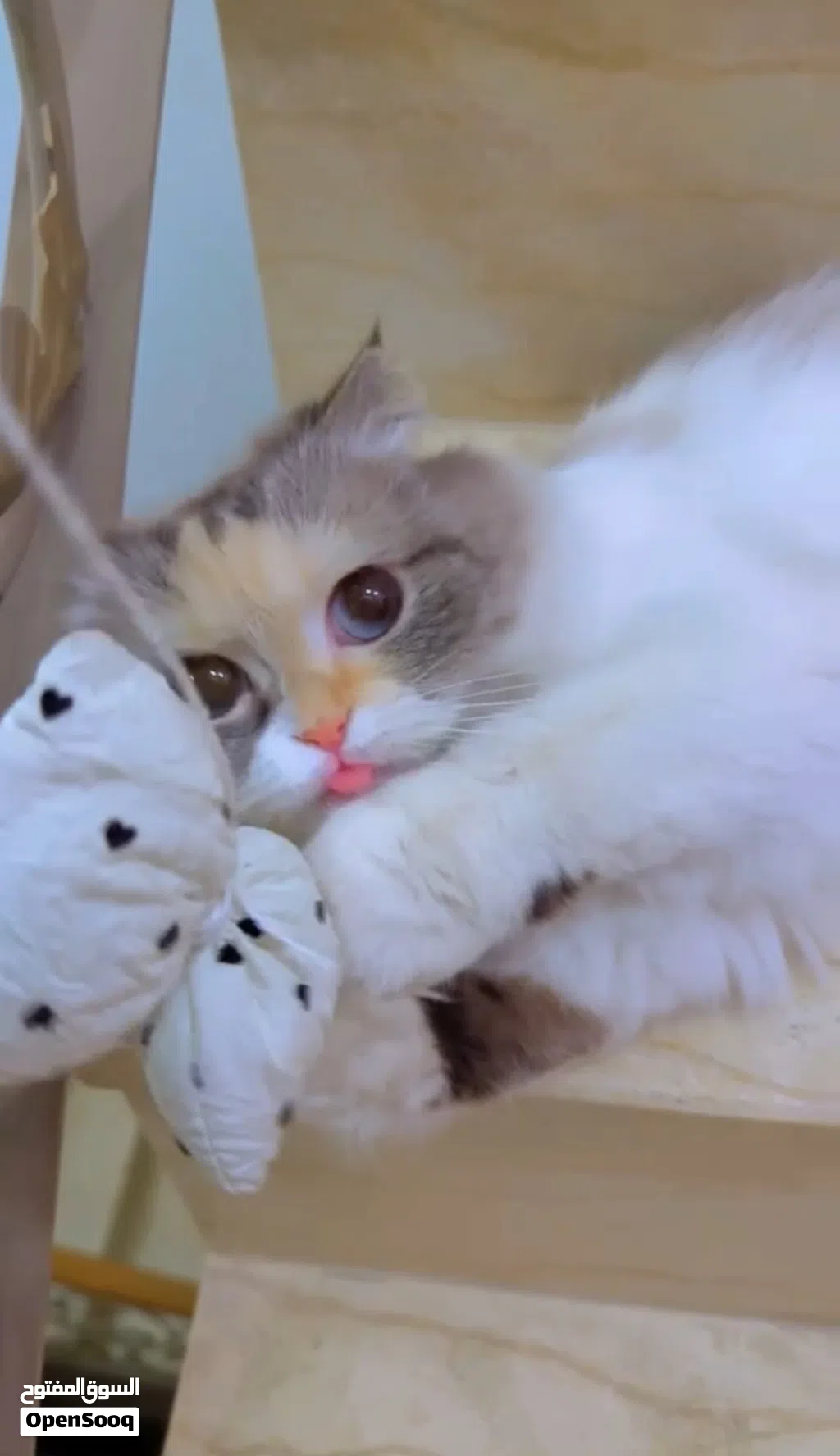 بيعه سريعه