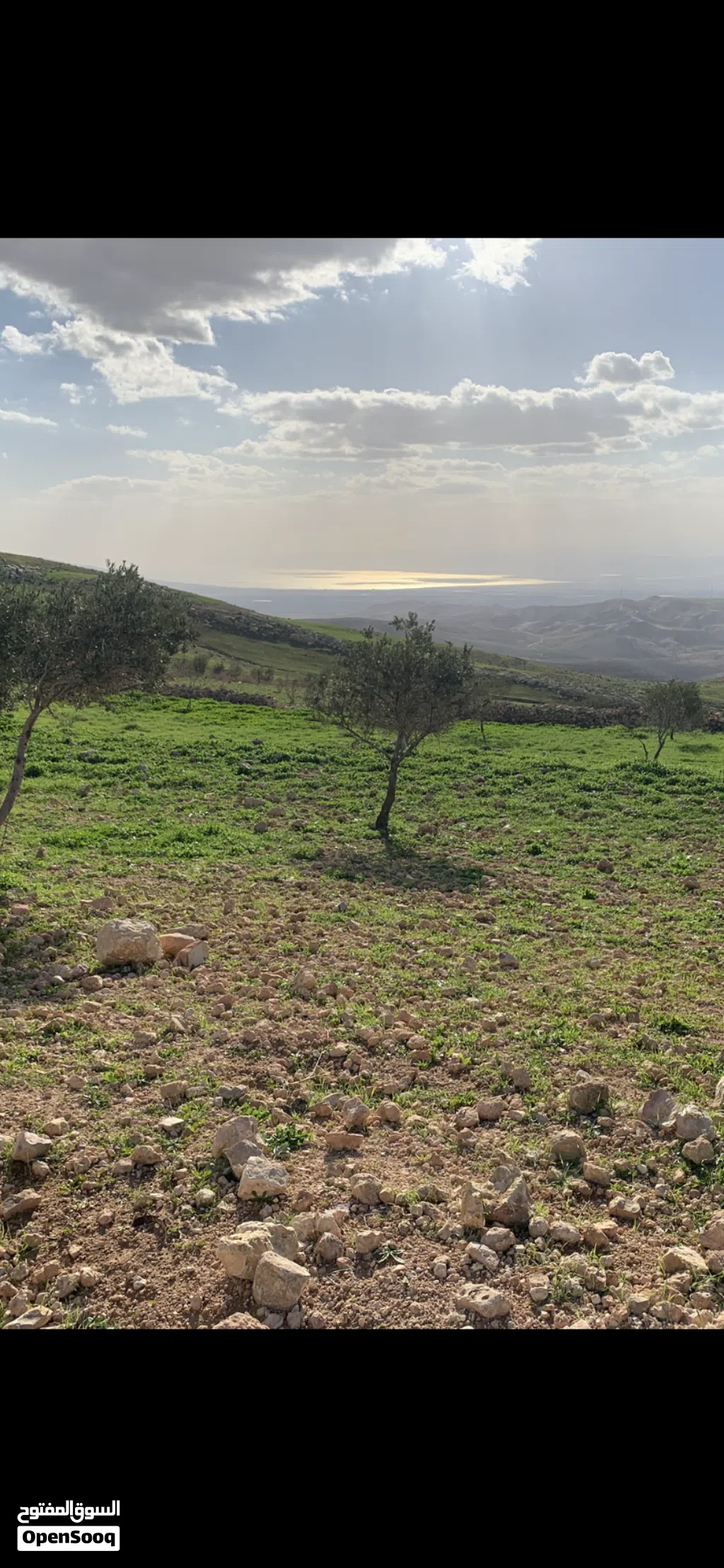 قطعة أرض ⁦⁦4⁩⁩ دونم و ⁦⁦254⁩⁩م للبيع - عراق الأمير من جهة بدر الجديده - مطله على البحر الميت و القدس الشريف