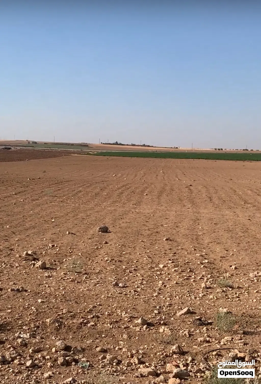 ارض مميزه في جنوب عمان الصلاحيه بالقرب من جلول