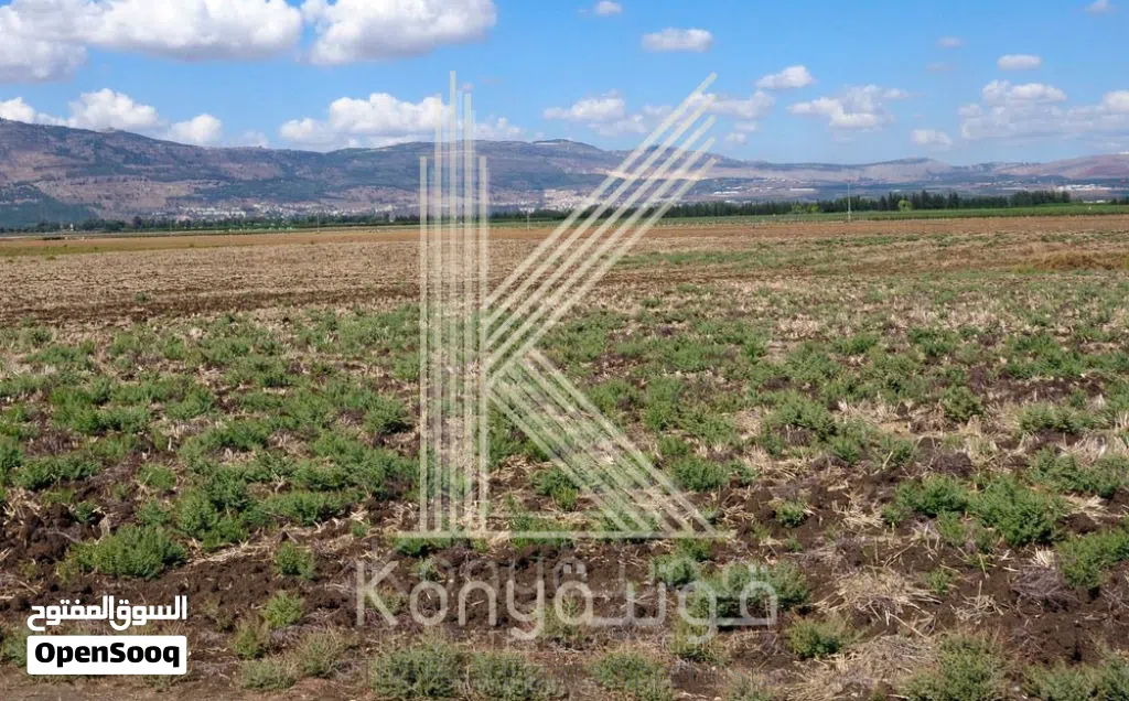 ارض سكني للبيع في حجار النوابلسة