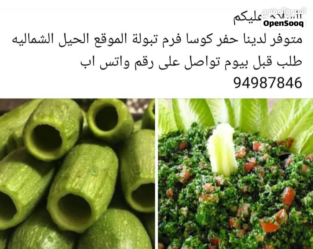 فرم تبوله حفر كوسا كبه مفرزه مقليه