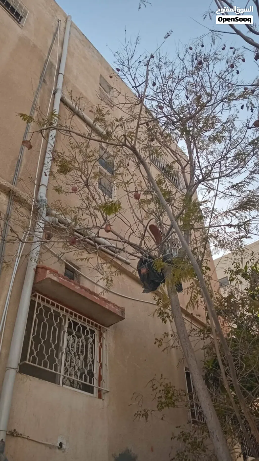 عمارة سكنية للبيع طبربور ابوعليا