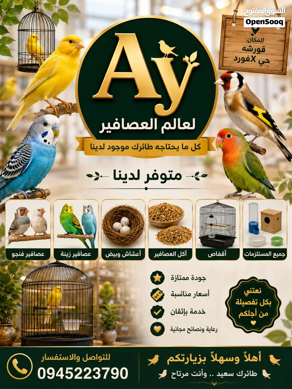 عالم الطيورAy