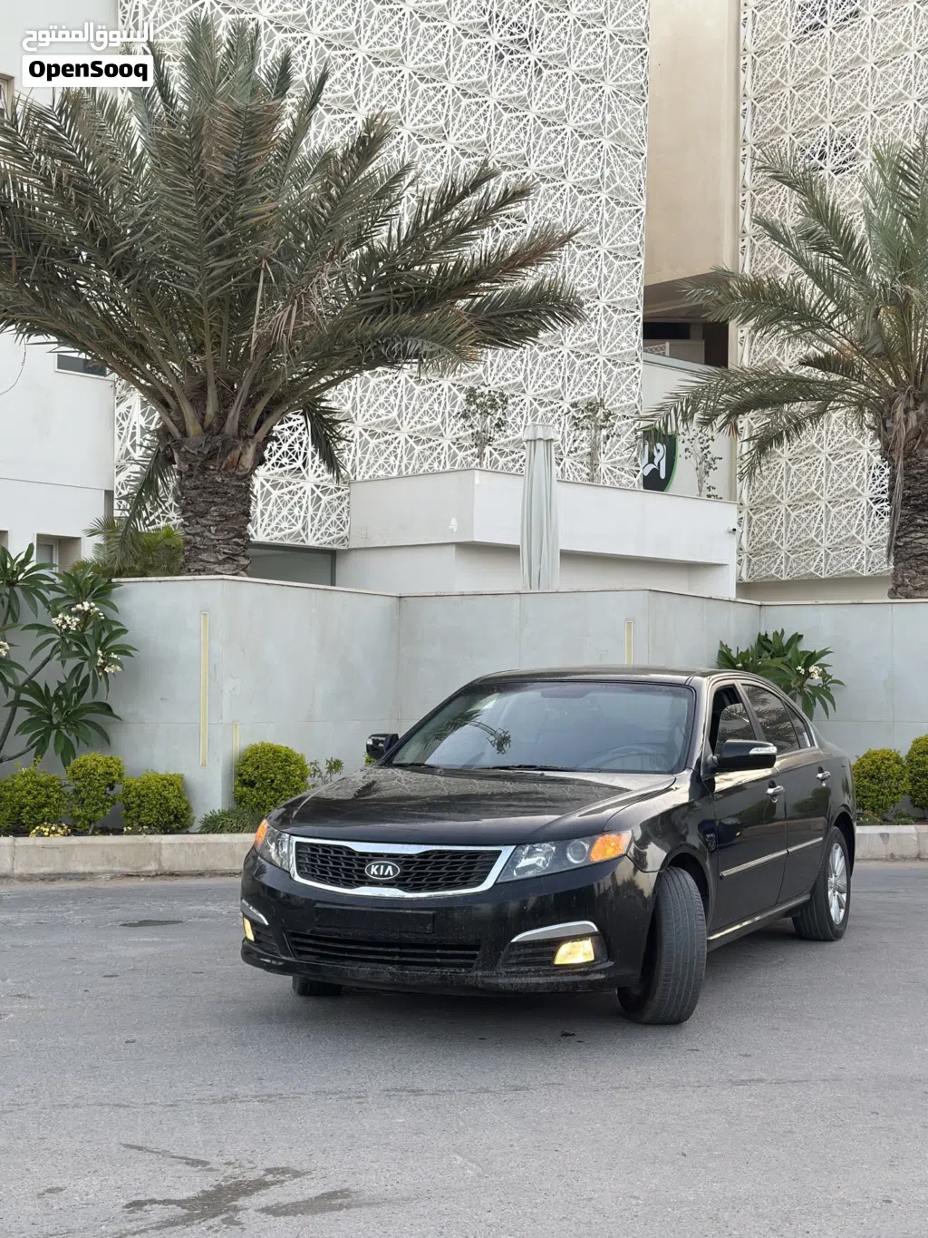 Kia Lotze