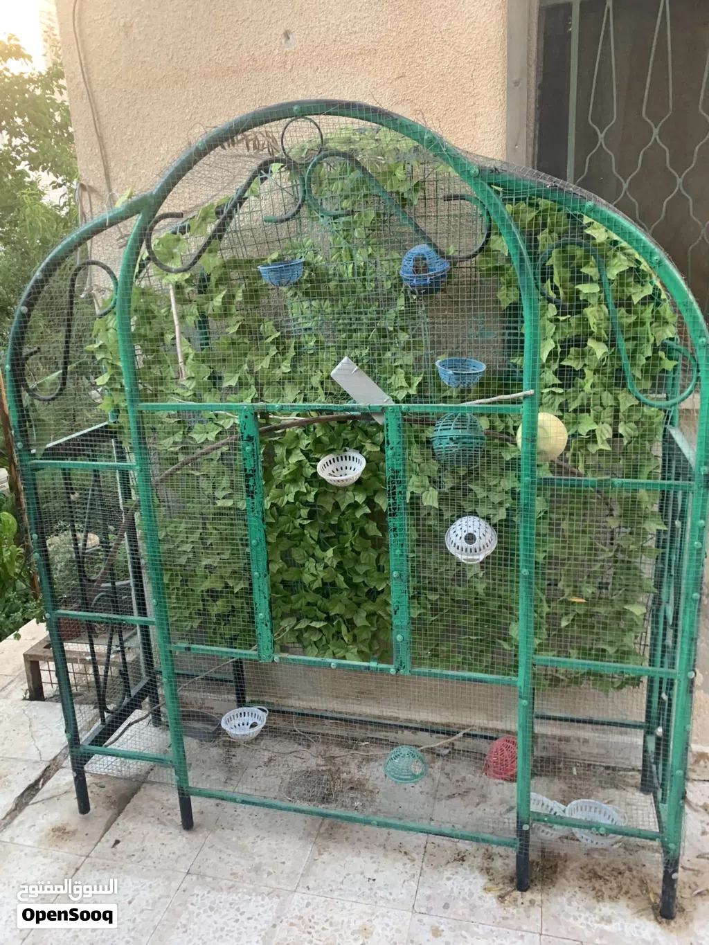 قفص ومطير عصافير بحاله جيده