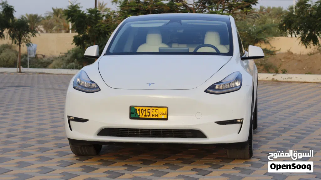 Tesla Model Y Long Range