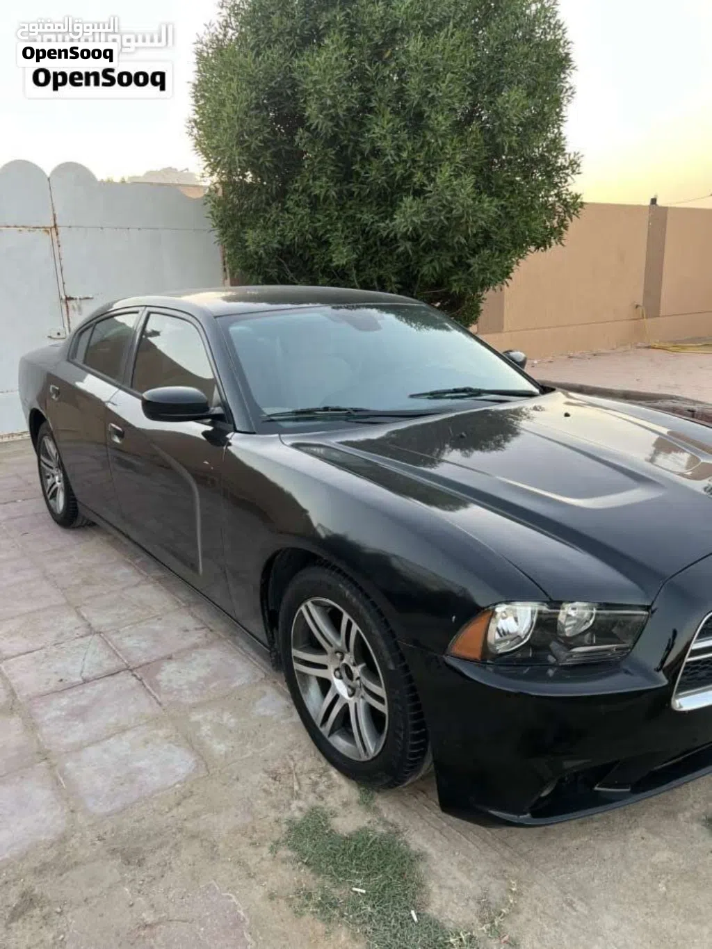 دودج تشارجر SXT