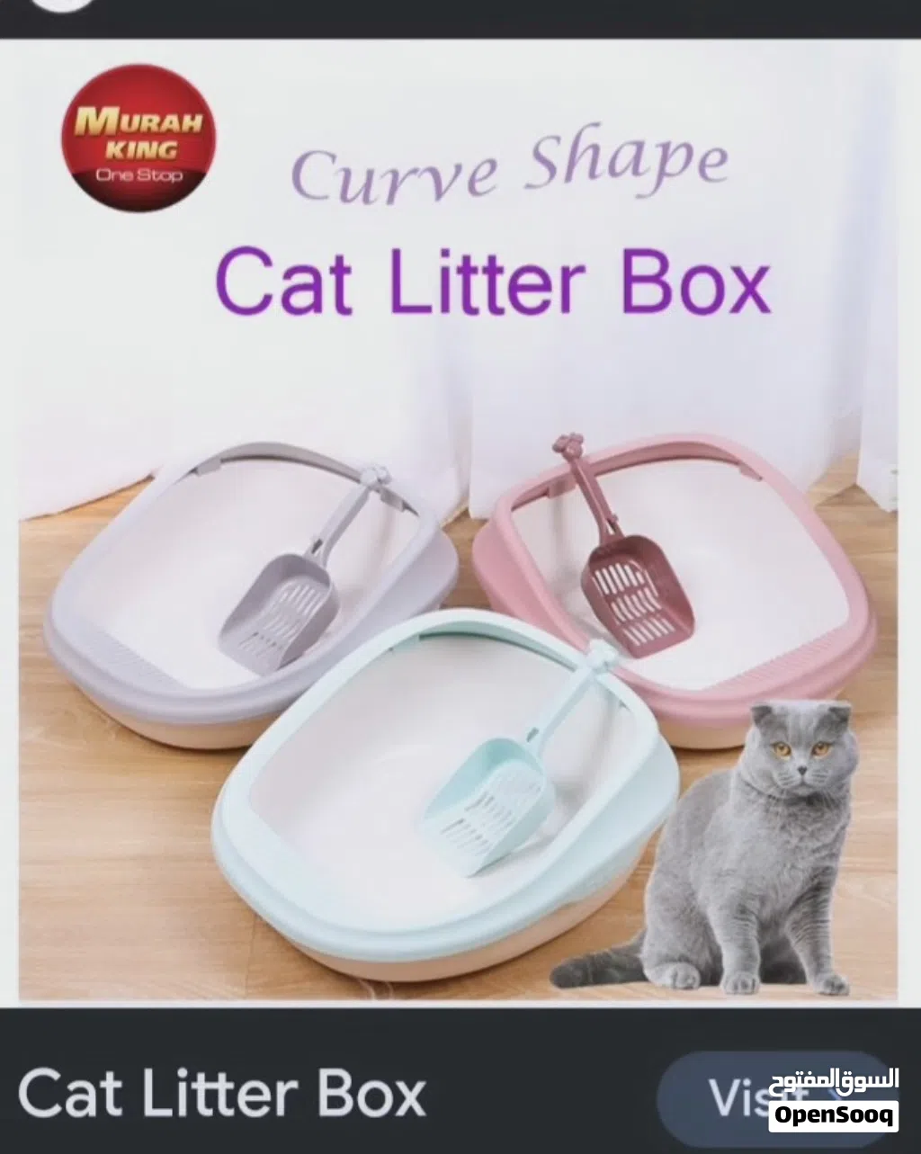 cat letter box
