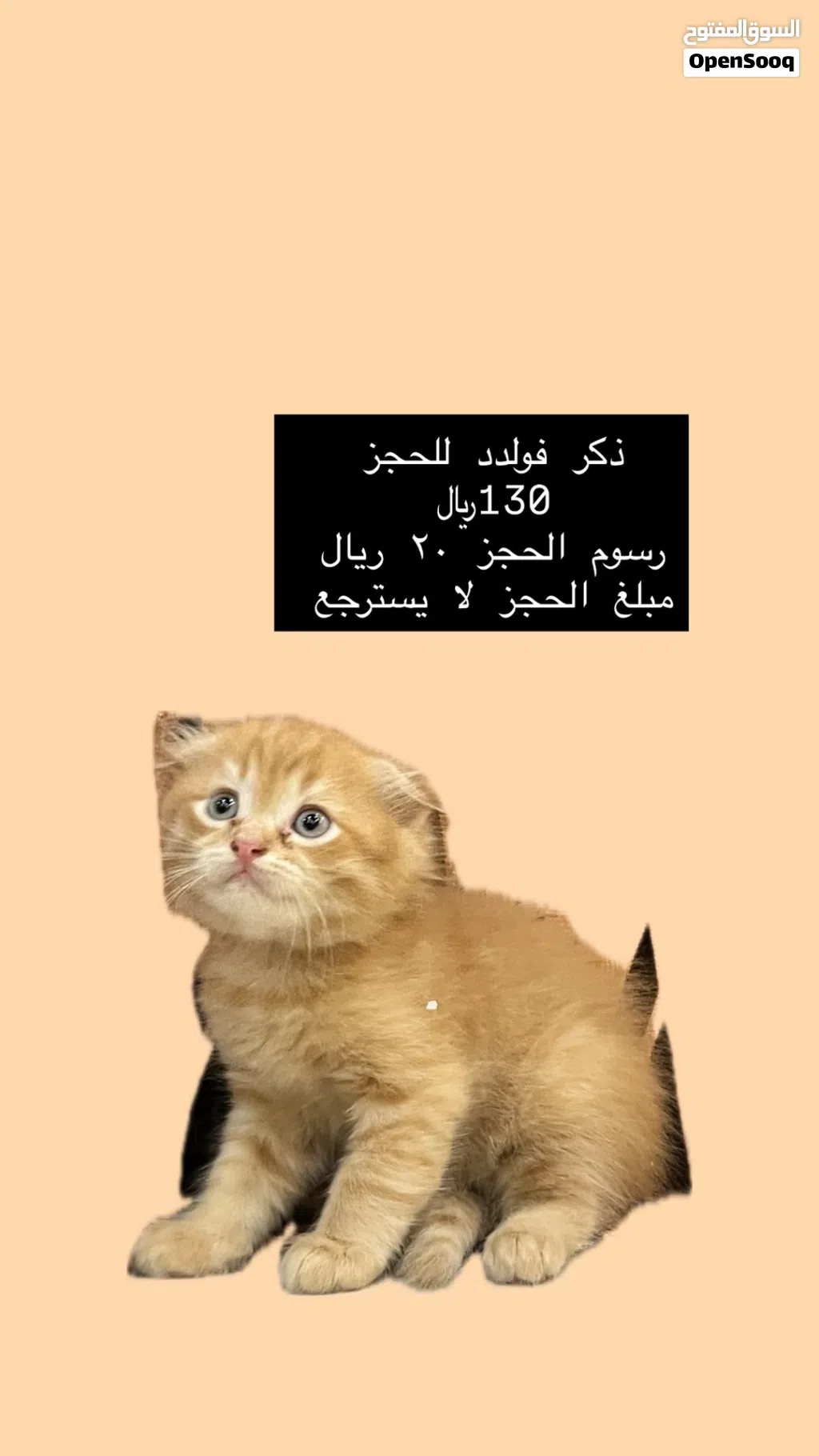 ذكر فولد للحجز
