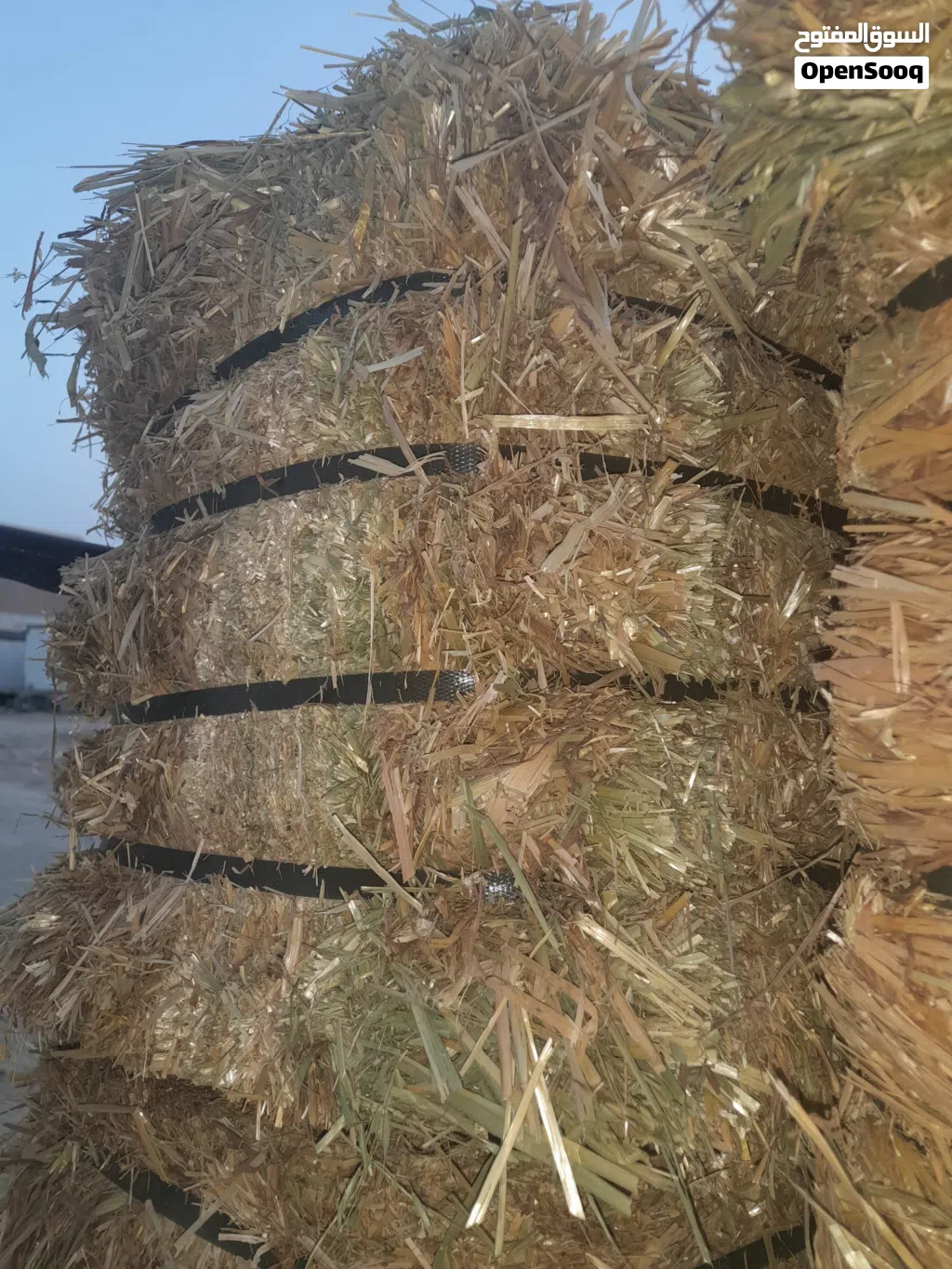 for sale Oaten hay special for horse