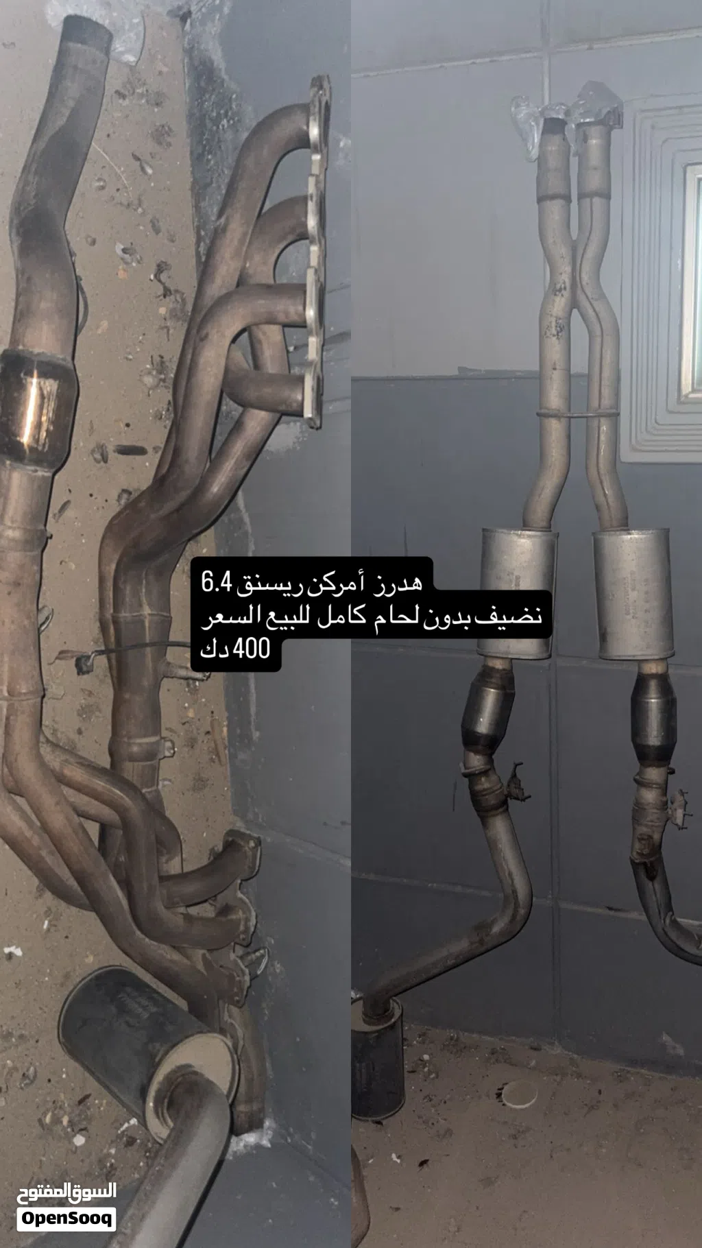 قزوز أمركن ريسنق