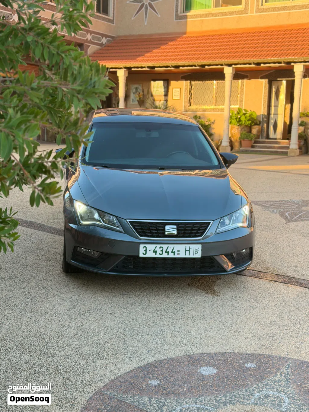 سيات ليون Standard