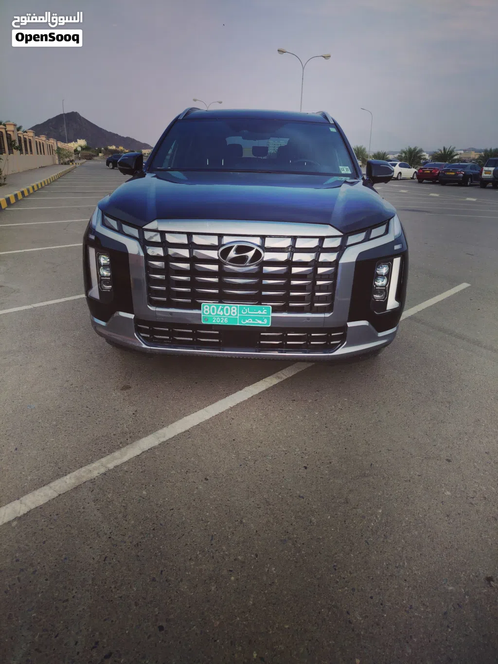 Hyundai Palisade 3.8 V6 4WD