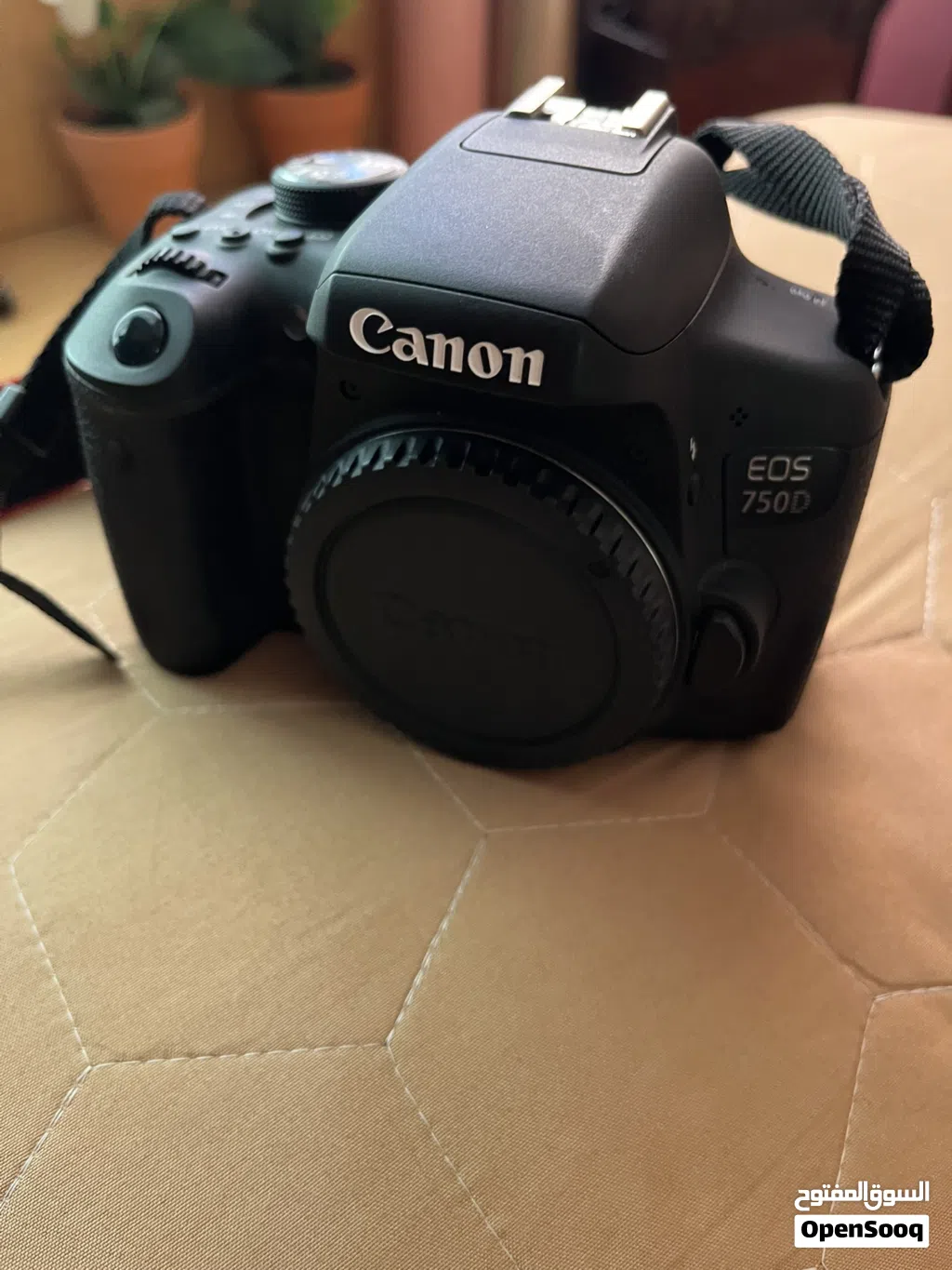 كاميرا كانون 750 دي مع 3 عدسات Canon DSLR 750D