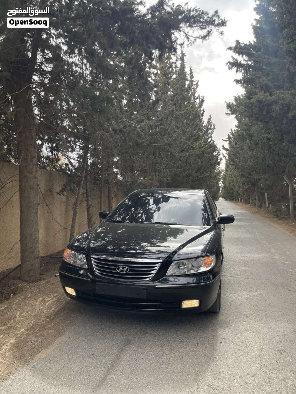 Hyundai Azera Standard