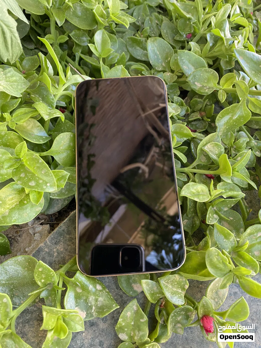 iPhone 13 Pro ماكس