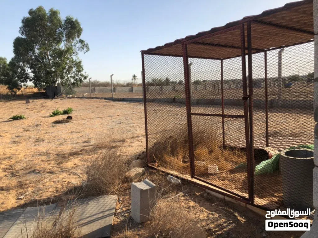 ربع هكتار للبيع عليه بيت عظم مسقوف تقريبا 100متر تقريبا