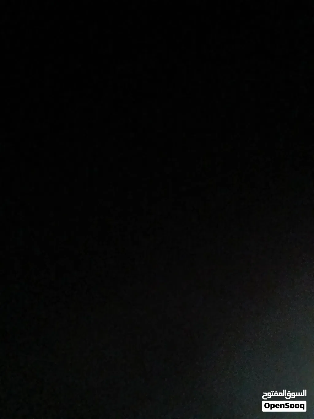 مطلوب كلب للتبني في مصراتة