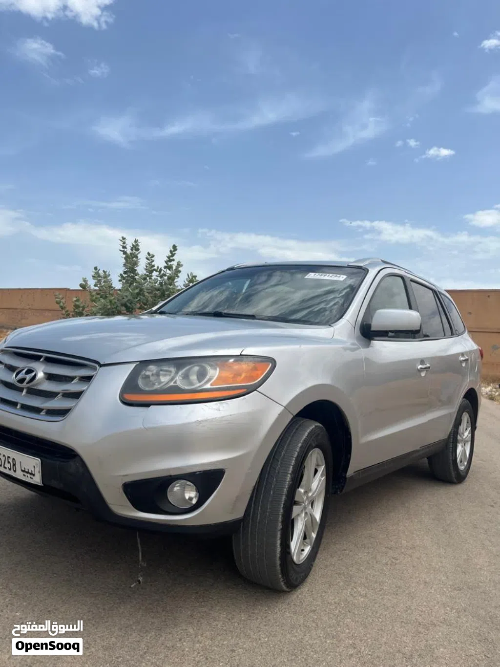 Hyundai Santa Fe Blue