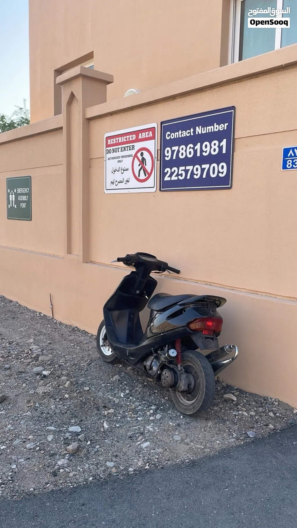 هوندا ديو