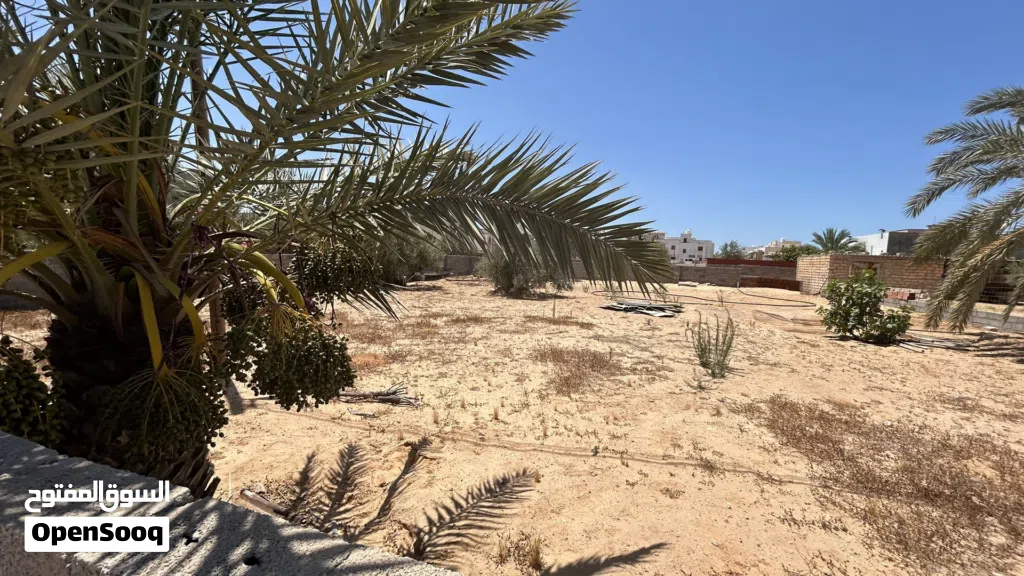 ارض فى سوق الجمعه للبيع