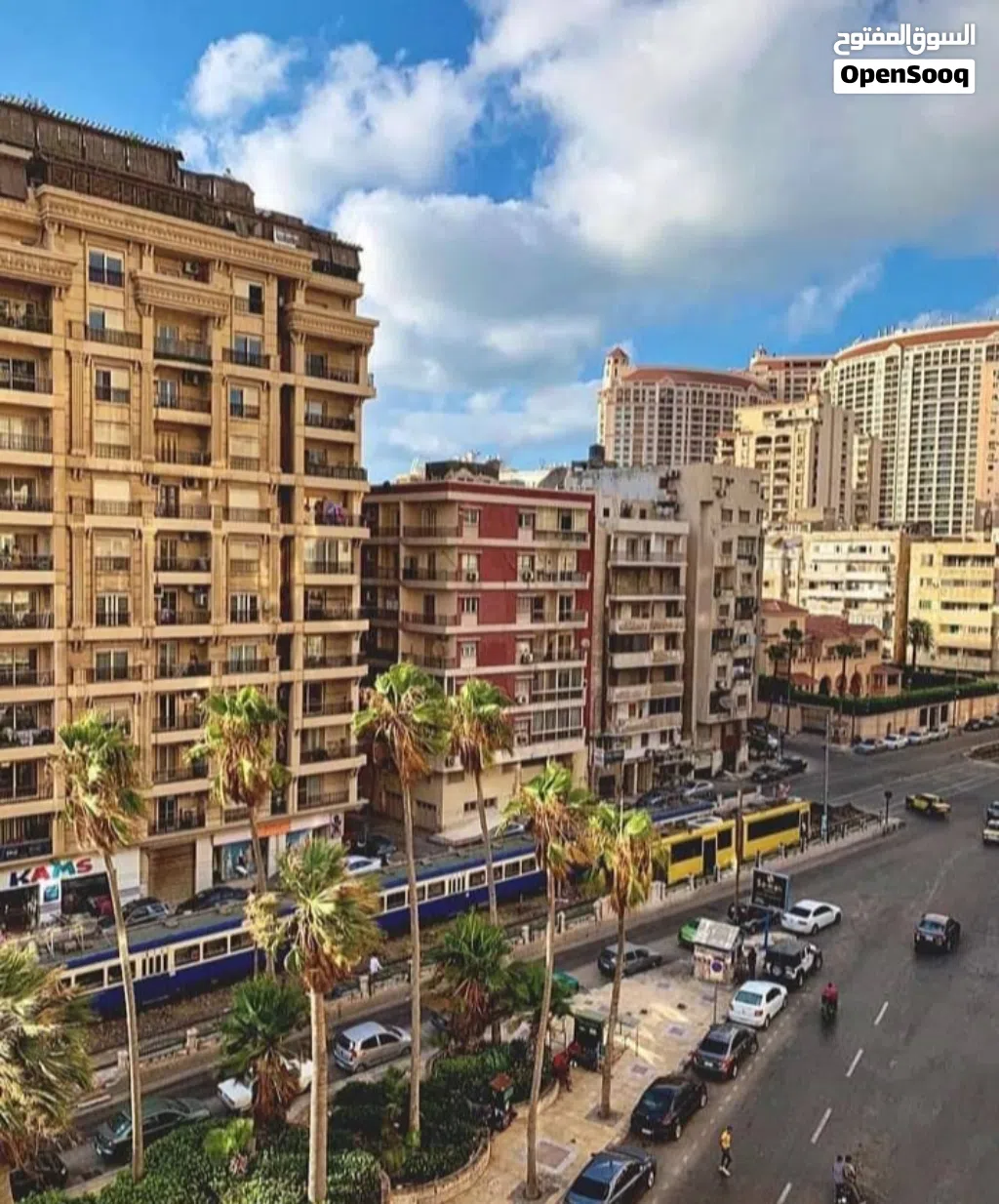 فرصه استثمار مميزه بالاسكندريه