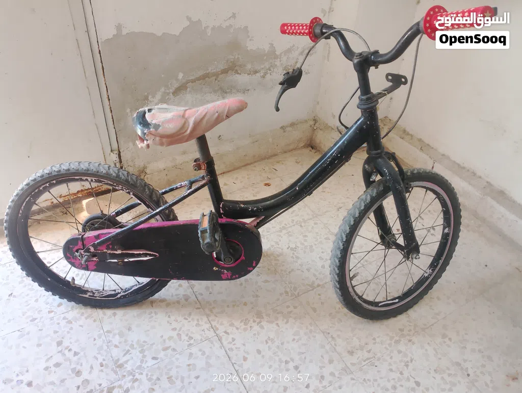 بسكليت امريكي