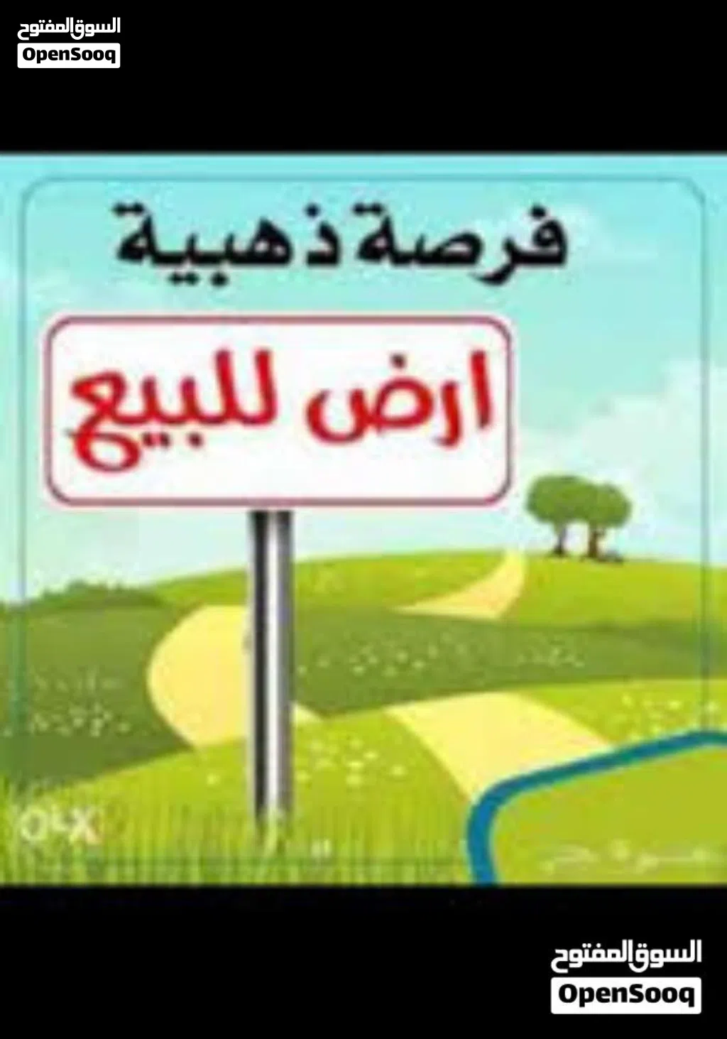 مقسم في بئر التركي تاجوراء