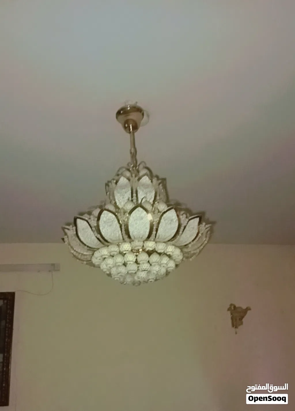 ثريه استقبال
