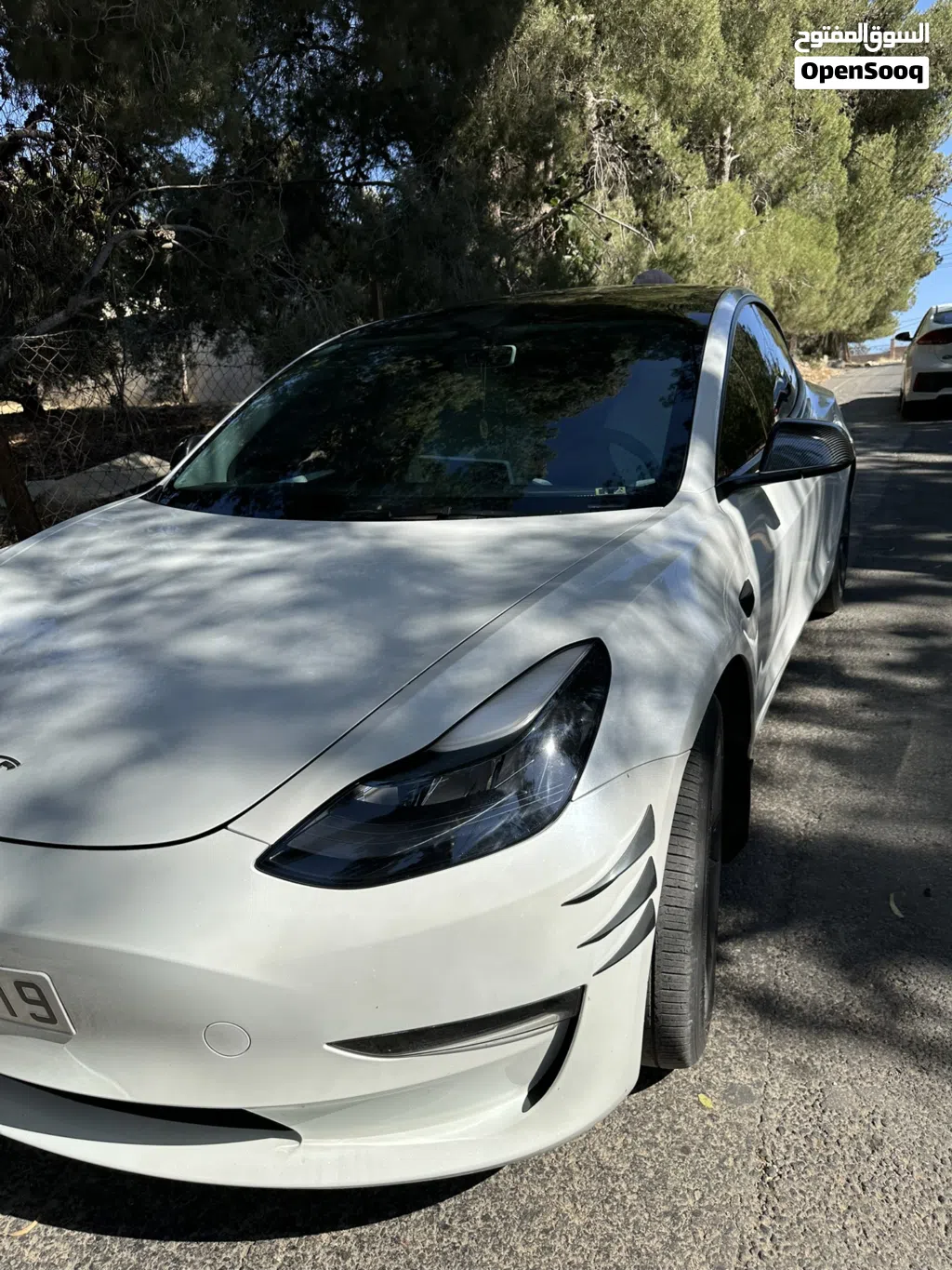 Tesla Model 3 Standard Plus