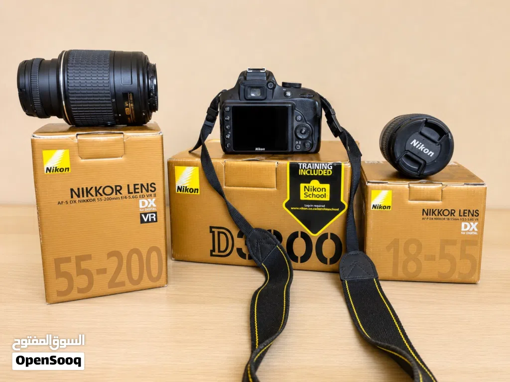 Nikon D3300 25 Mega Pixel Camera with 18-55 mm lens and 75-200 mm telescope lens.
