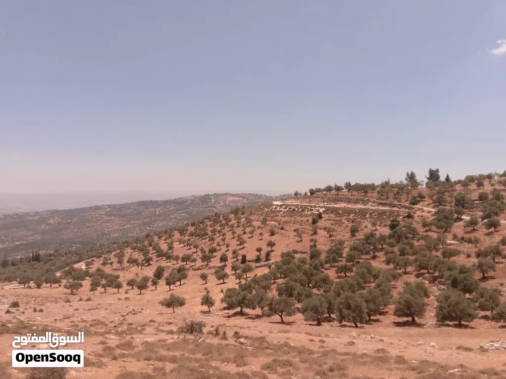 ارض زراعية