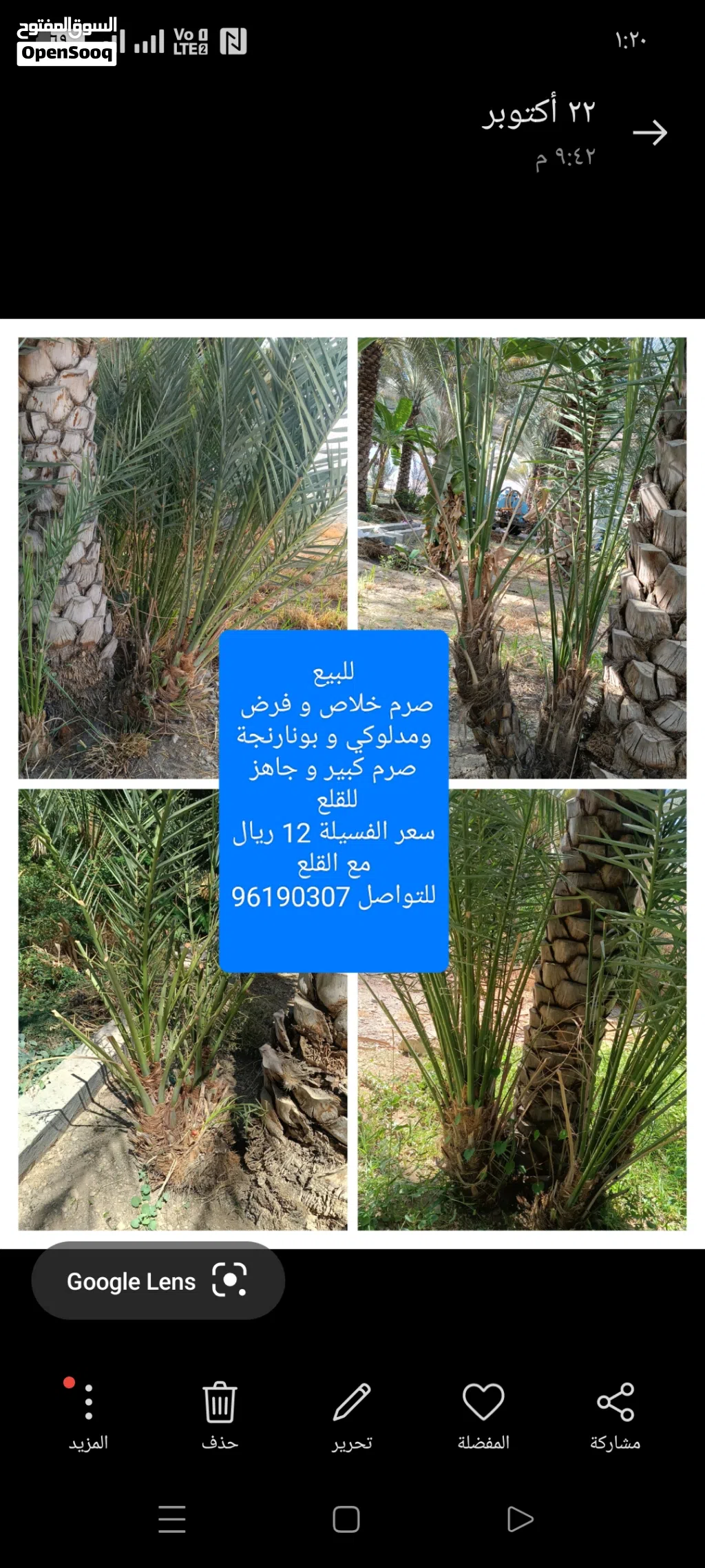 للبيع صرم خلاص و فرض و نغال ملويف بجودة طيبة