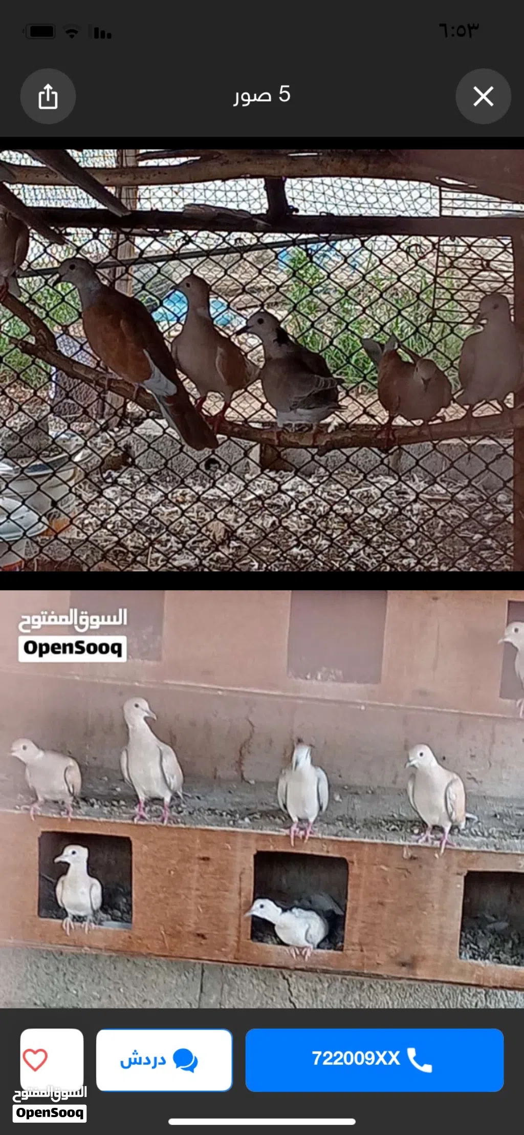 البيع عفاد