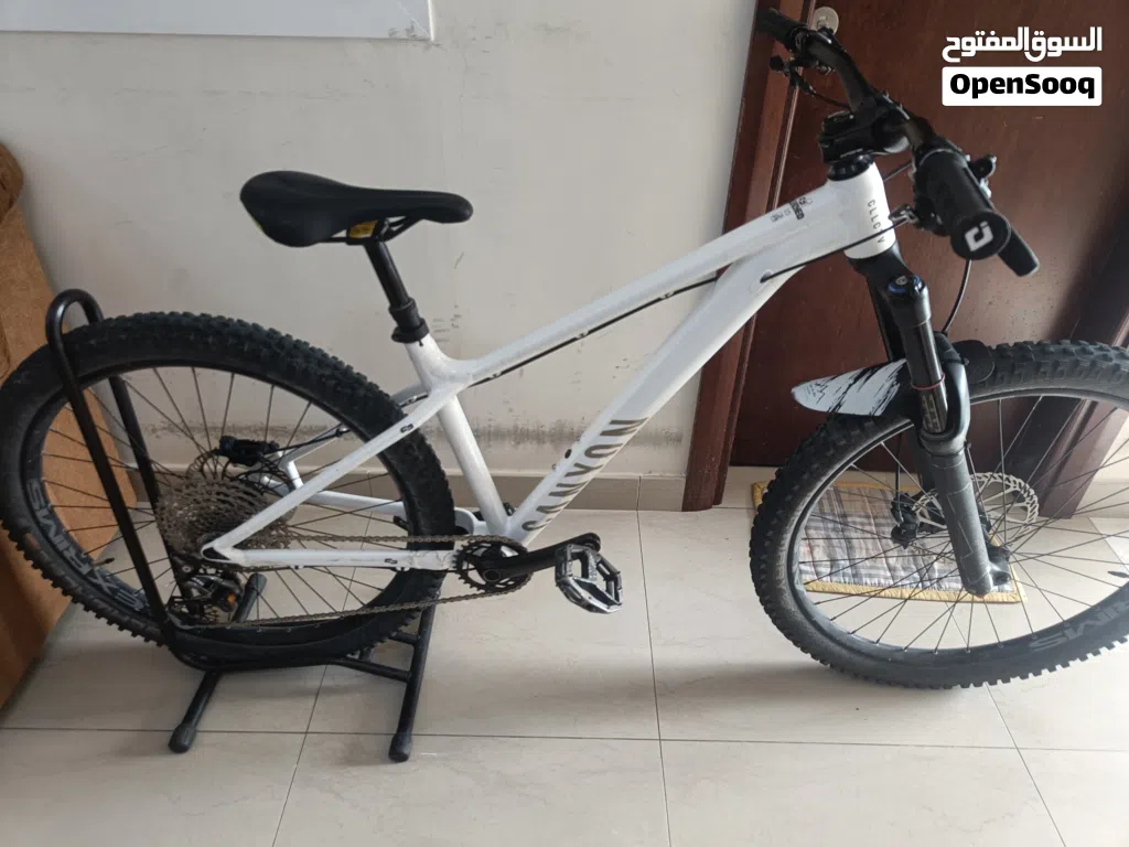 mountain bike