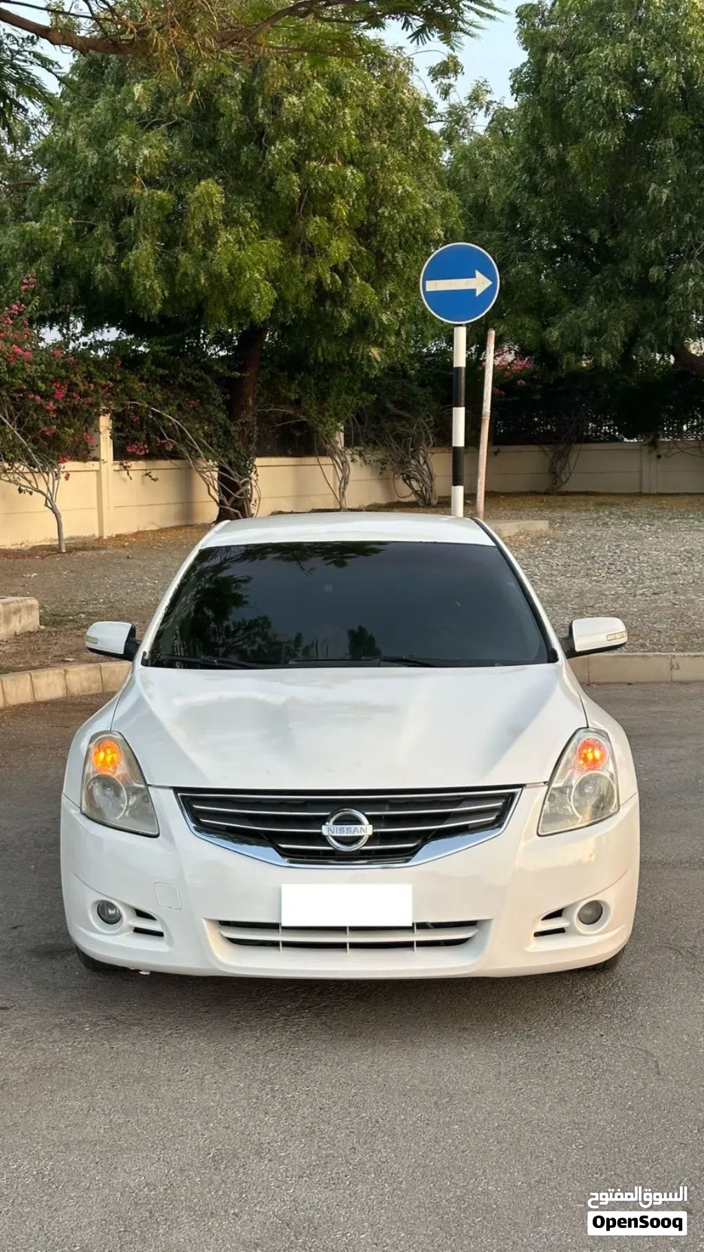نيسان التيما S