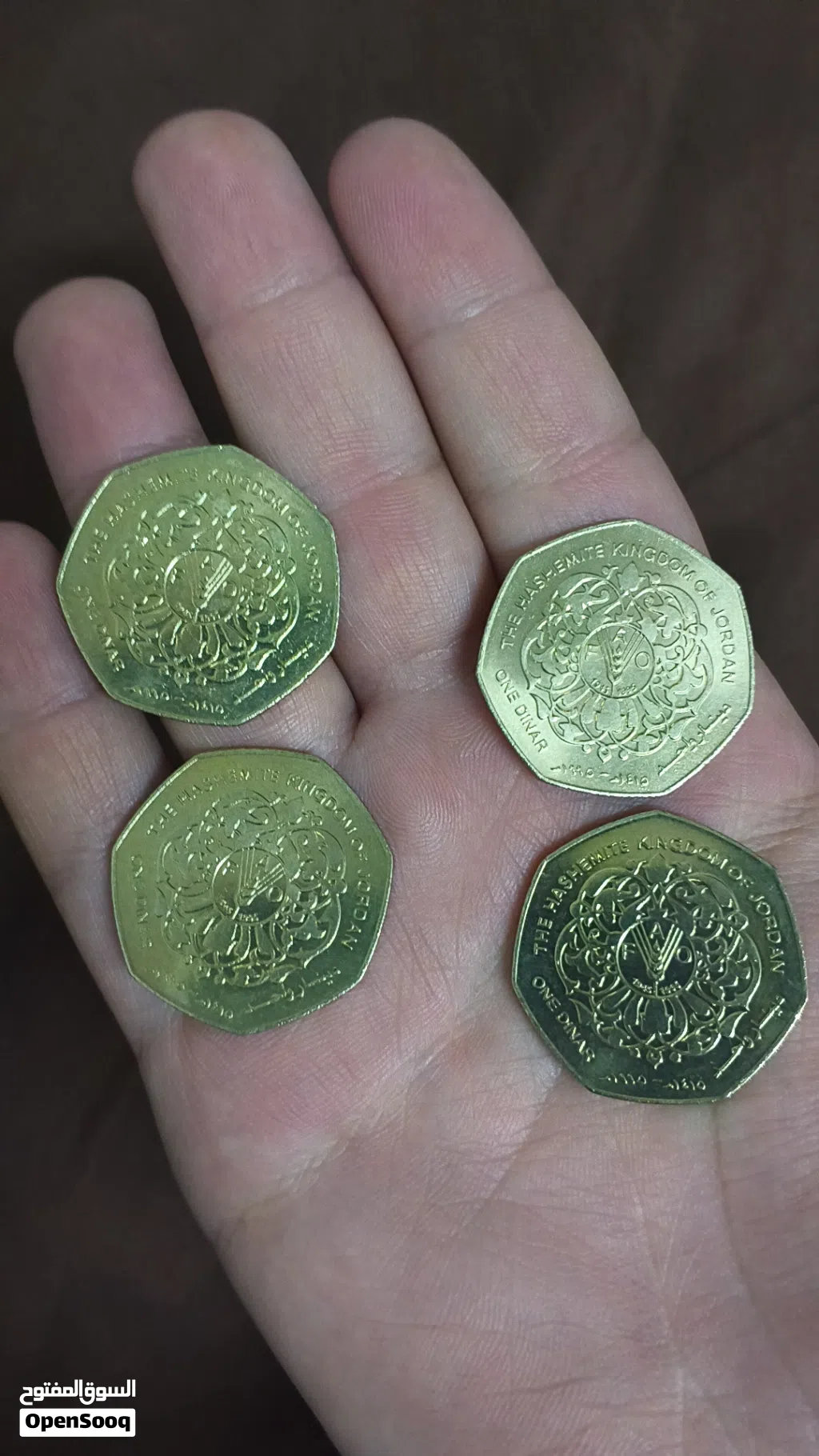 12 قطعة أردنية تاريخية للبيع شامل التوصيل لأي محافظة