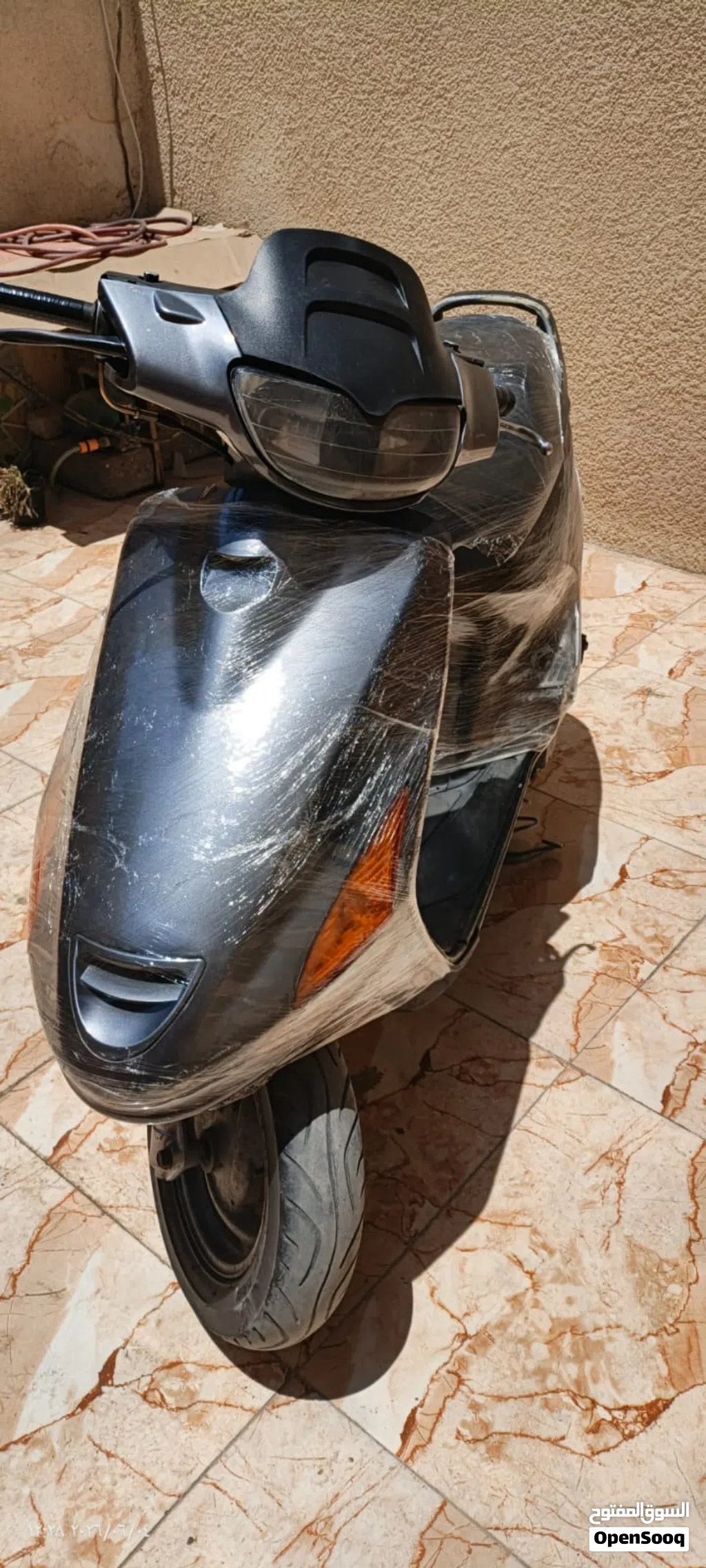 فراشه ياباني 2004